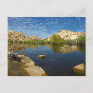 Barker Dam-reflektion vid Joshua Tree II Vykort