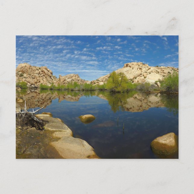 Barker Dam-reflektion vid Joshua Tree II Vykort (Framsida)