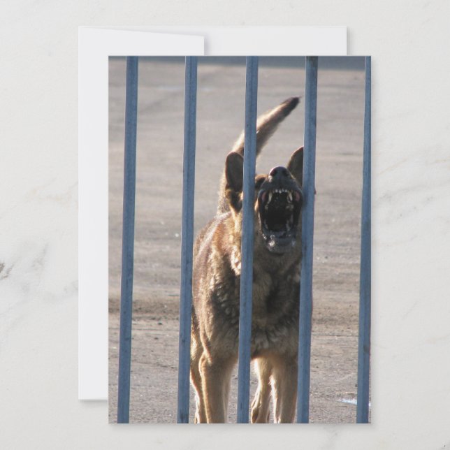 Barking hund (Framsida)