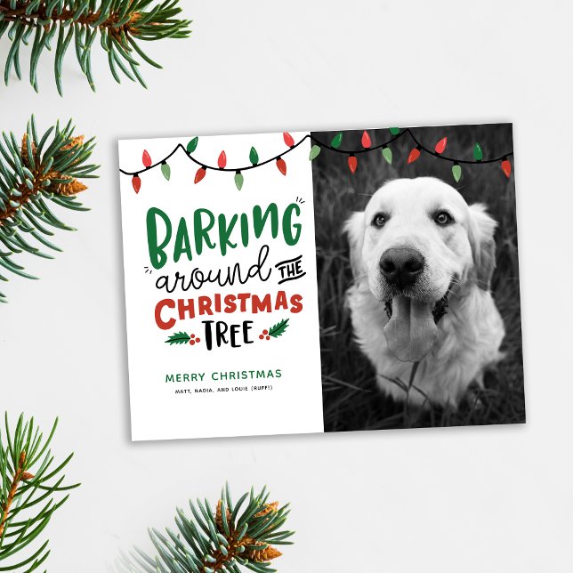 Barking runt julen i Julgran Hund Helg Vykort (Cute pet Christmas card. Barking around the Christmas tree photo holiday card shown with pine accent)