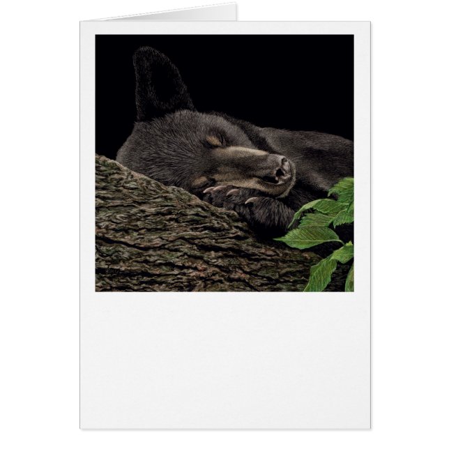 Bärkort för "Nap Time" OBS Kort (Framsidan)