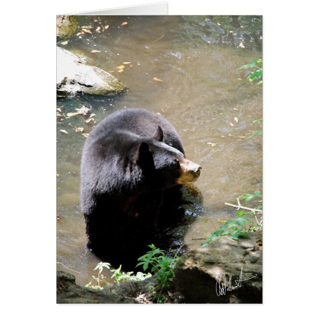 Bärkort Hälsningskort (Framsidan)