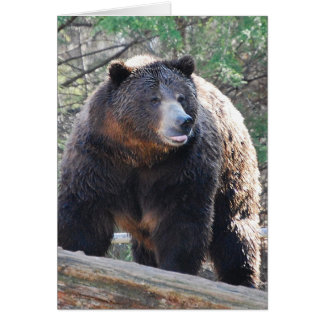 Bärkort Hälsningskort