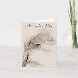 BARLEY GRASS PHOTO NOTE CARD ANTECKNINGSKORT