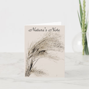 BARLEY GRASS PHOTO NOTE CARD ANTECKNINGSKORT