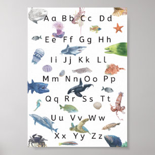 Barn Alphabet Poster Illustration, Aqua Life.
