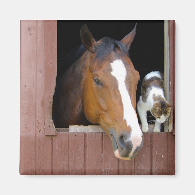 Barn Buddies Magnet (Framsidan)