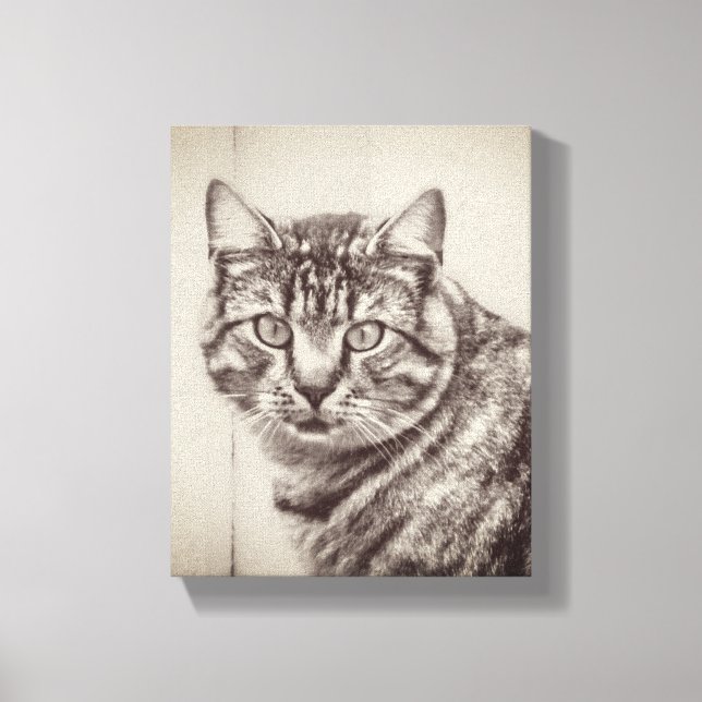 Barn Cat Boskap 8 x 10 Canvastryck (Framsida)