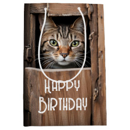 Barn Cat for Birthday