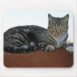 Barn Cat på Dunit Musmatta
