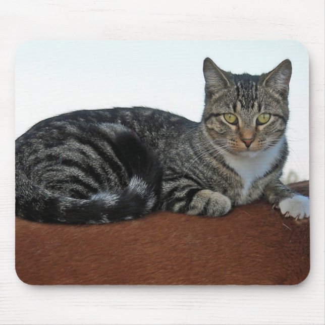 Barn Cat på Dunit Musmatta (Framsidan)