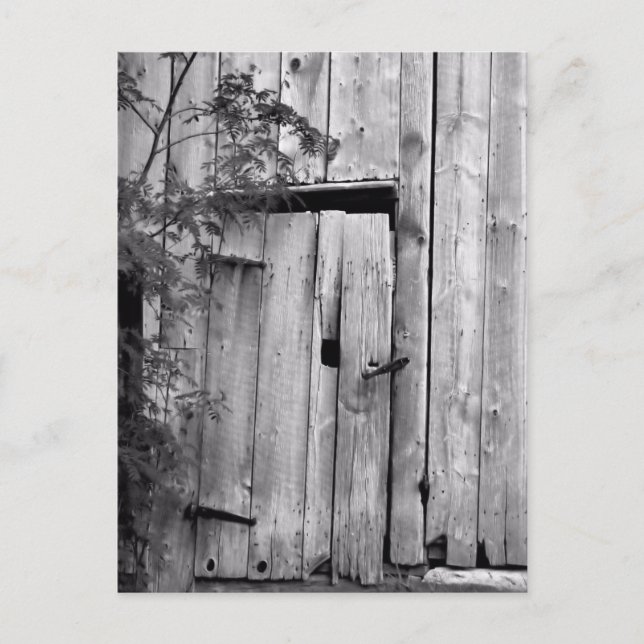 Barn Door in Black and White Vykort (Framsida)