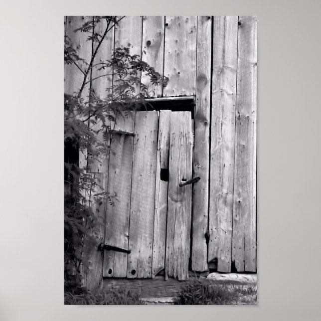 Barn-dörr med Träd Poster (Framsidan)