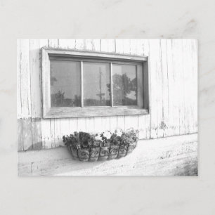 Barn-dörrfönster/svartvitt fotografi vykort