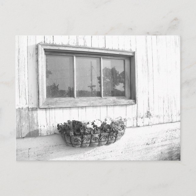 Barn-dörrfönster/svartvitt fotografi vykort (Framsida)