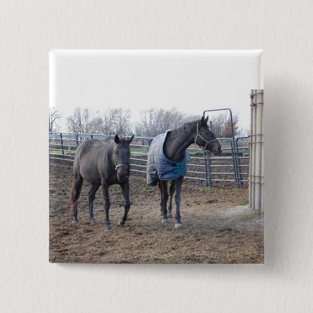 Barn Farm Horses Knapp (Framsida)