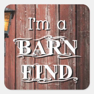 Barn Find Fyrkantigt Klistermärke