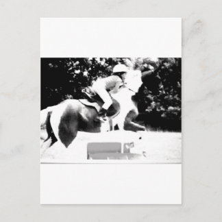 Barn för jägare 100_0760-1/jumper vykort