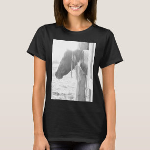 Barn Horse/Black and White Photography Tröja