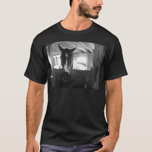 Barn Horse T Shirt