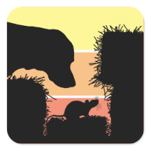 Barn Hunt Nose Work: Dog and Rat Scent Work