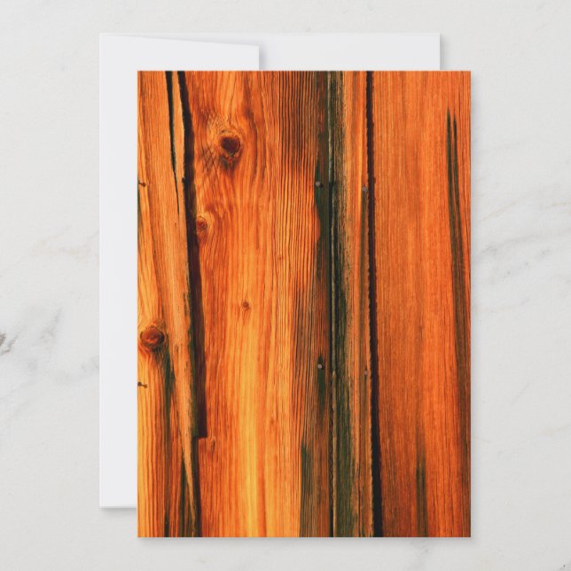 Barn i frigående ladugårdar (Framsida)