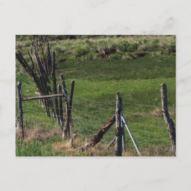 Barn I Vykort (Framsida)