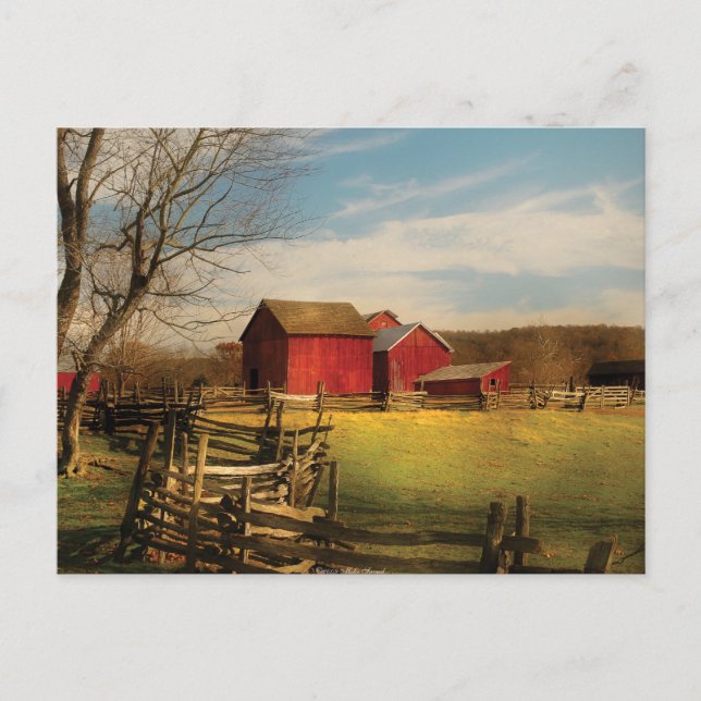 Barn - jag köpte gården vykort (Framsida)