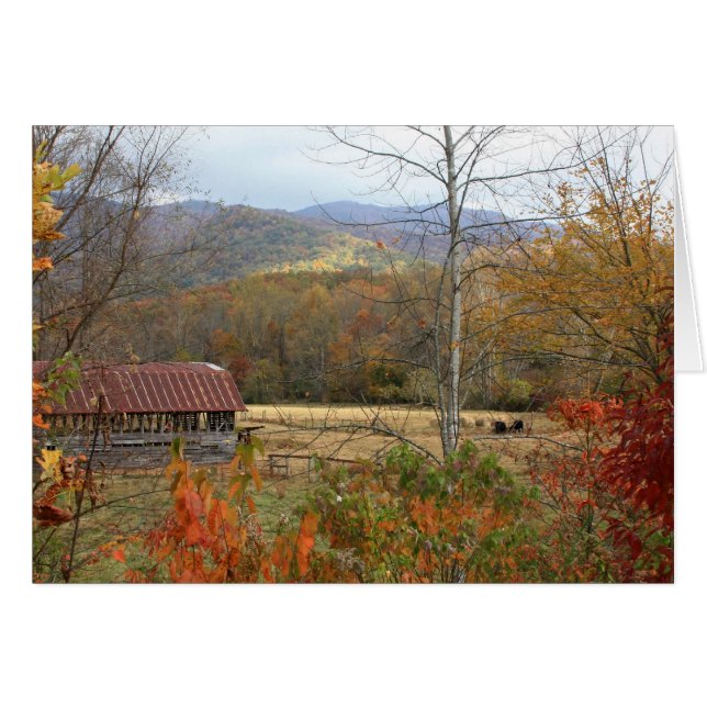 Barn med kor OBS kort (Framsidan Horizontal)