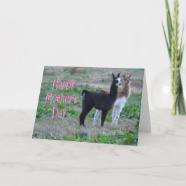 Barn med Mors dag-kort-lama Kort