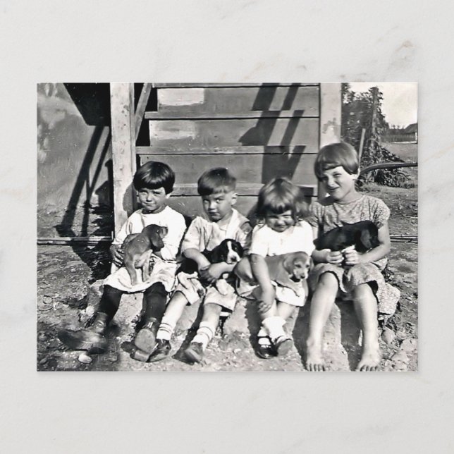 Barn med valpar vykort (Framsida)