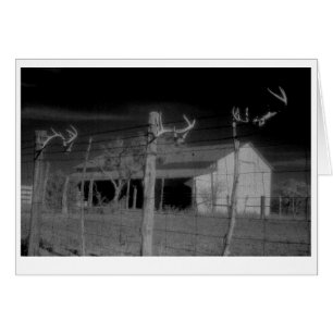 "Barn och Antlers" Hälsningskort