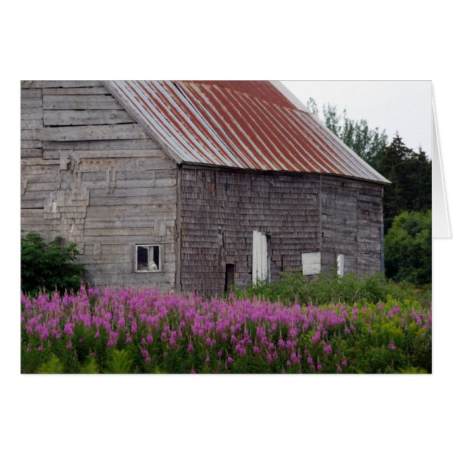 Barn och blommor OBS kort (Framsidan Horizontal)