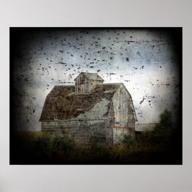 Barn och Fåglar Grunge Poster (Framsidan)