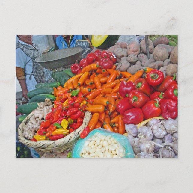 Barn och fler vykort (Framsida)