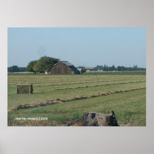 Barn och Haystack Poster