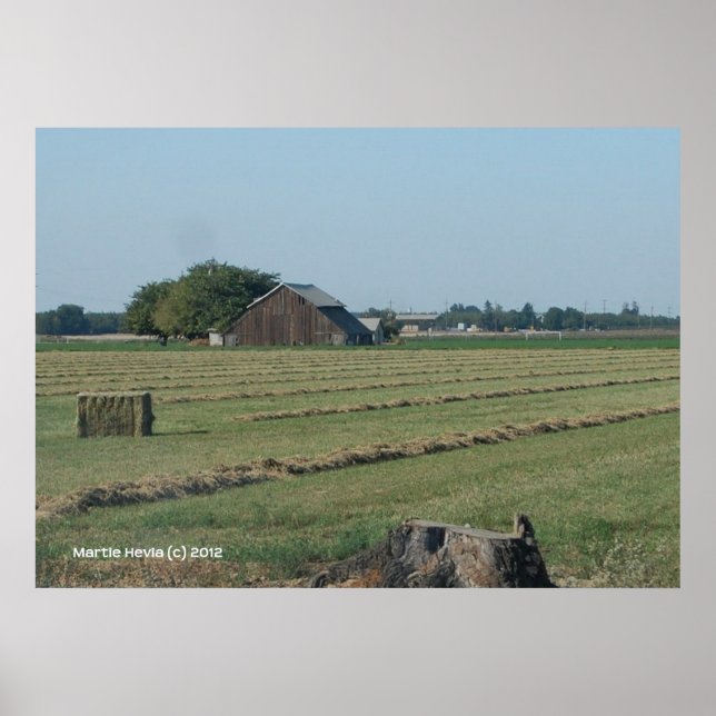 Barn och Haystack Poster (Framsidan)