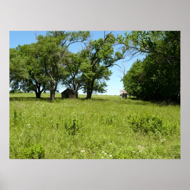 Barn och Outhouse Poster (Framsidan)