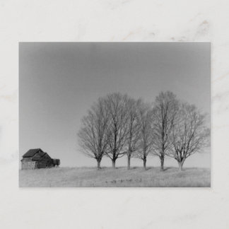 Barn och träd vykort