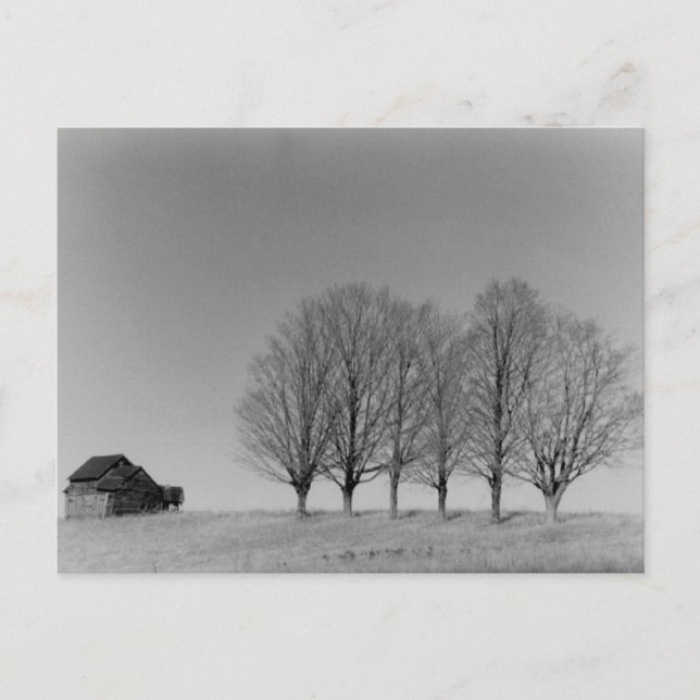 Barn och träd vykort (Framsida)