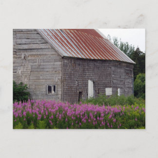 Barn och Wildblommor Vykort