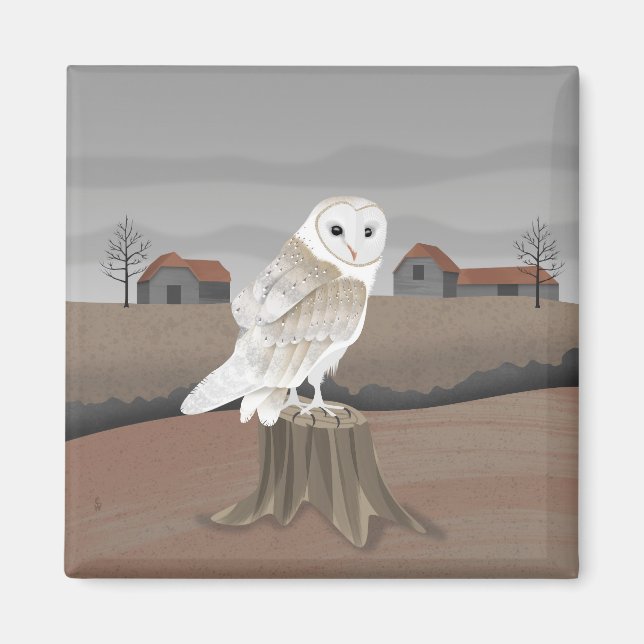 Barn Owl Magnet (Framsidan)