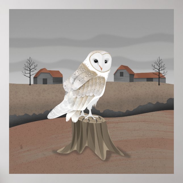 Barn Owl Poster (Framsidan)