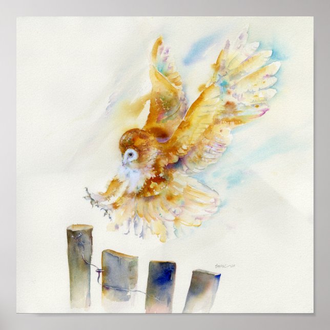 Barn Owl Poster (Framsidan)