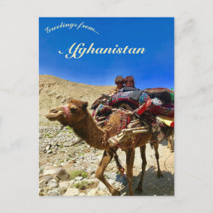 Barn på en kamel i Herat Afghanistan Vykort