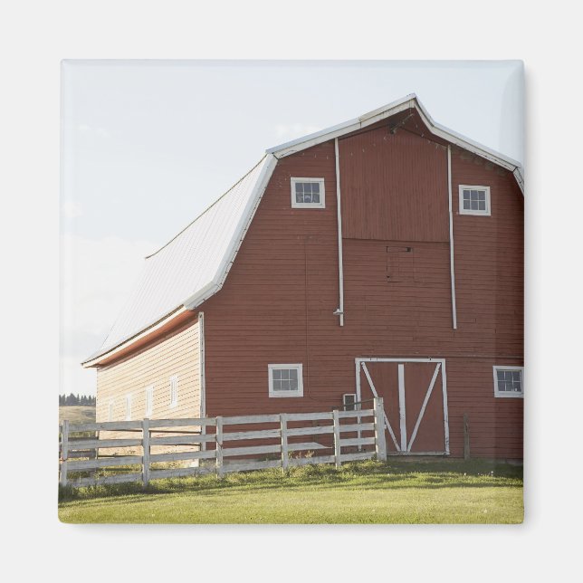 Barn på landsbygden magnet (Framsidan)