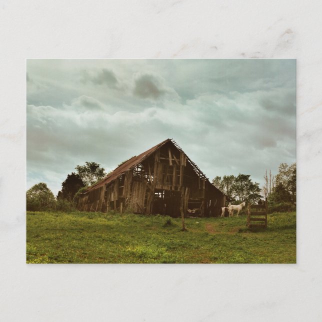 Barn på morgonen vykort (Framsida)