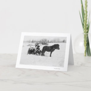 Barn på ponnyn drog sleden fotograferar kort