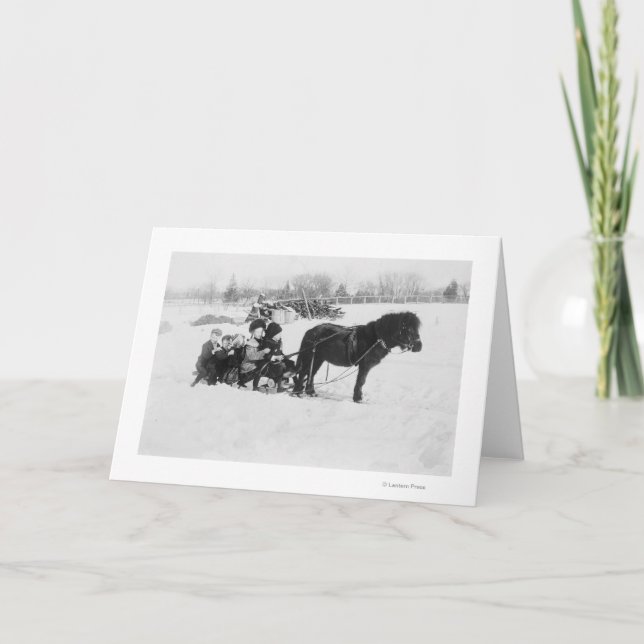 Barn på ponnyn drog sleden fotograferar kort (Framsida)