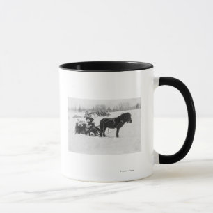 Barn på ponnyn drog sleden fotograferar mugg